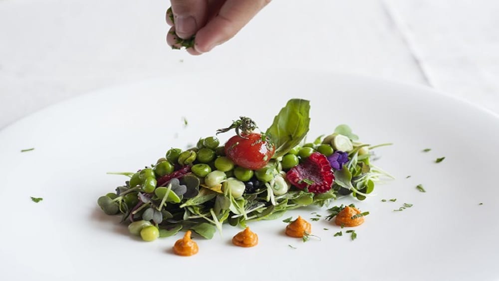 Grevol Spa 16/50