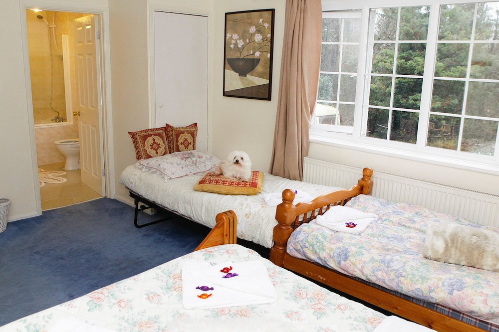 Da Vinci Guest House Gatwick 26/56