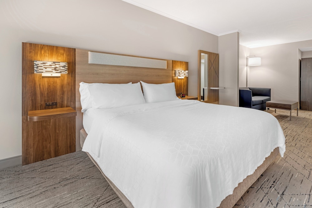 جناح بسرير كينج بغرفة نوم واحدة، Holiday Inn Express Breezewood 2/6