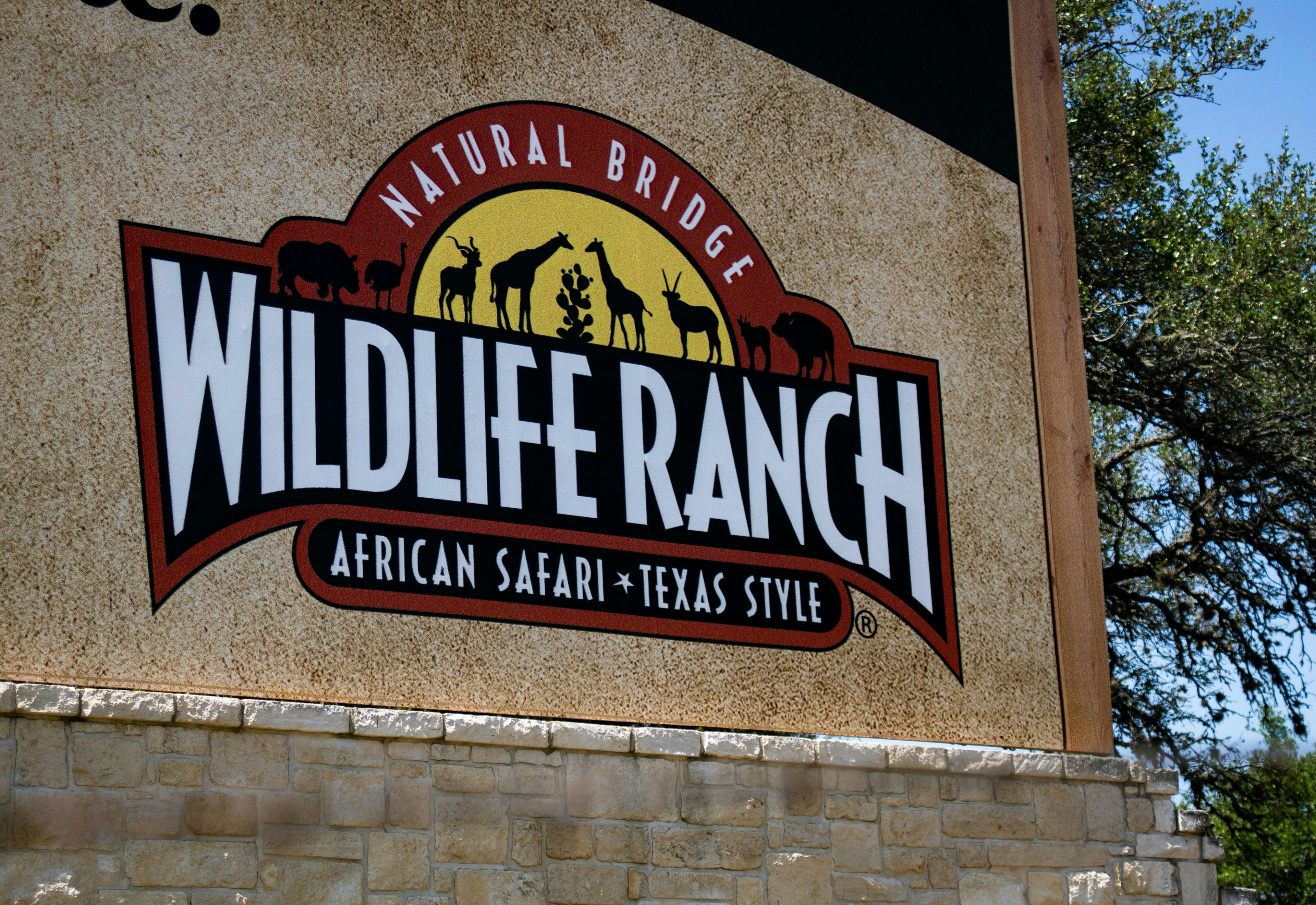 Staybridge Suites San Antonio - Schertz 3/60