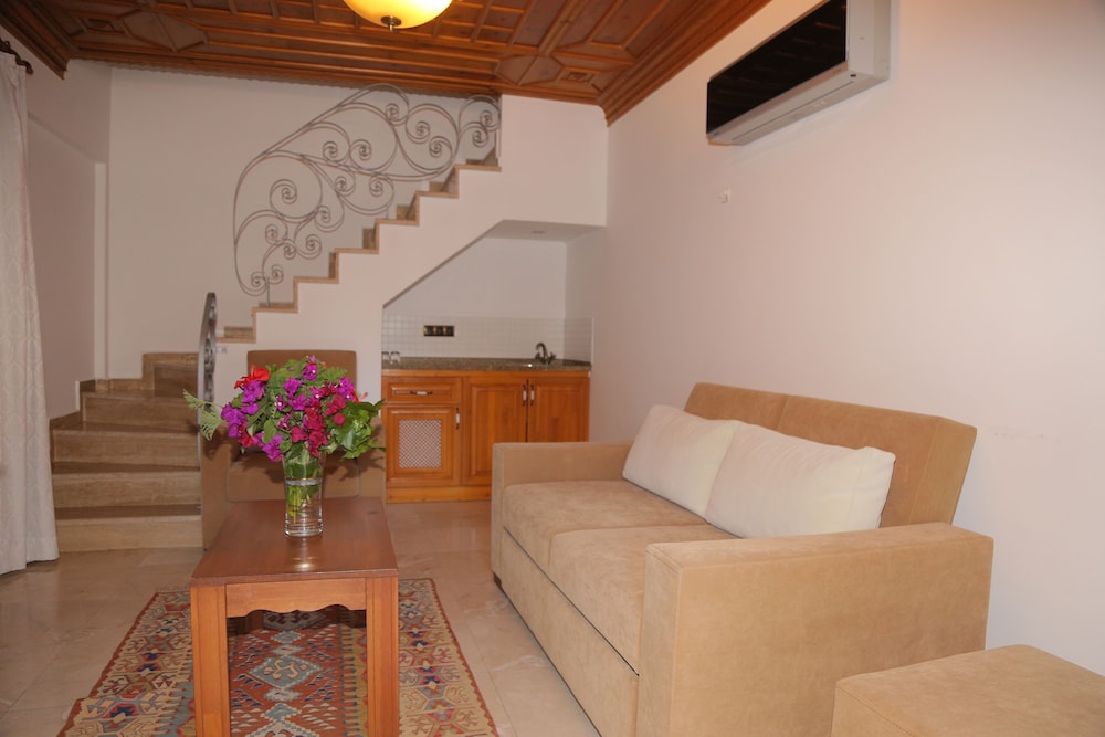 Dalyan BC Spa Hotel 41/61