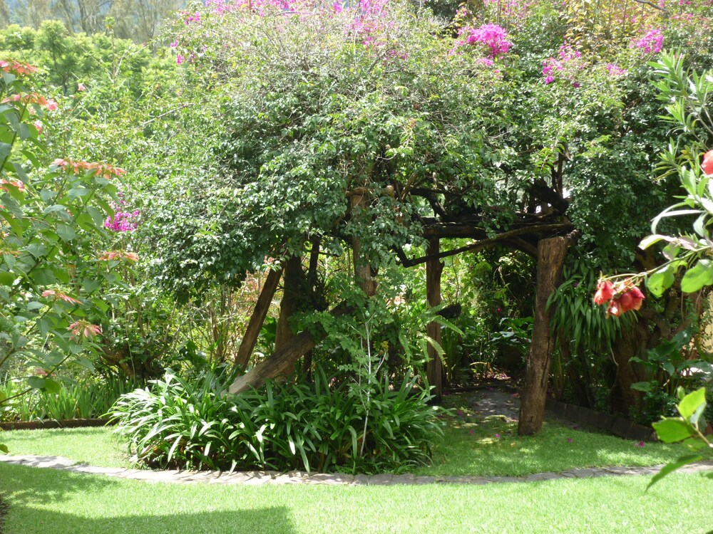 Mayan Inn 26/64