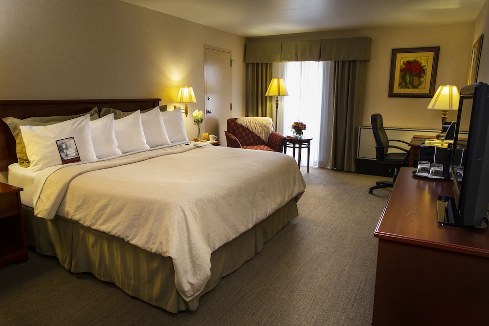 RIT INN & CONFERENCE CENTER 16/56