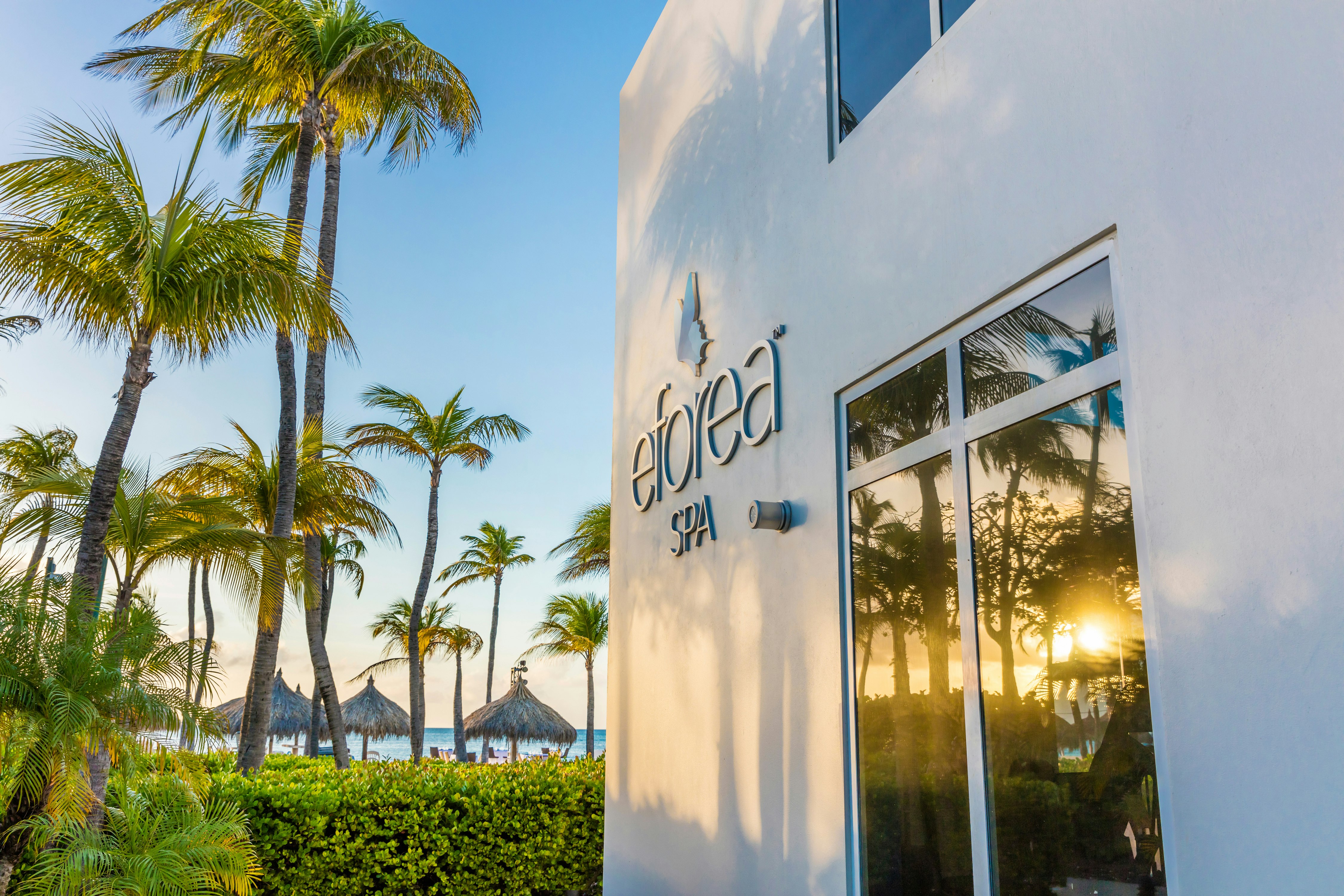 Hilton Aruba Caribbean Resort and Casino in ARUBA