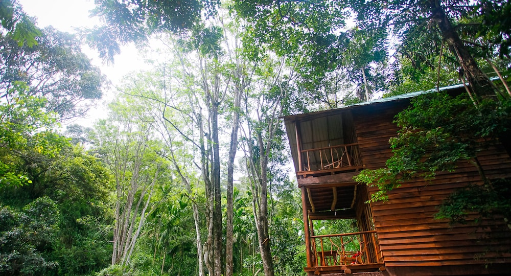 Ella Eco Lodge 4/38