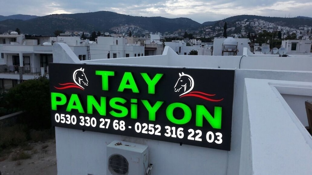 Tay Pansiyon 1/33