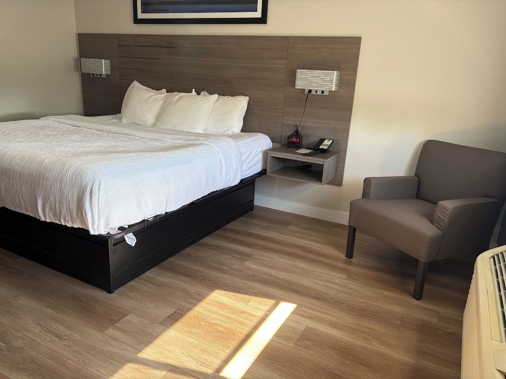 Room, King Bed, Accessible