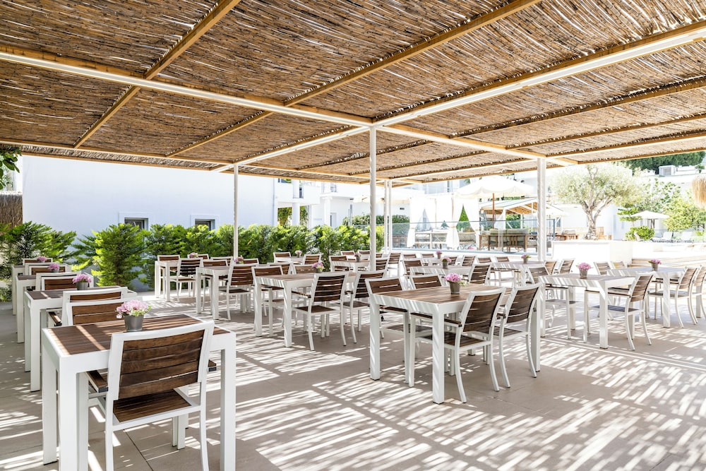 Maya Hotel 54/66