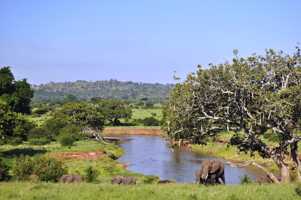 Balloon Camp Tarangire 24/31