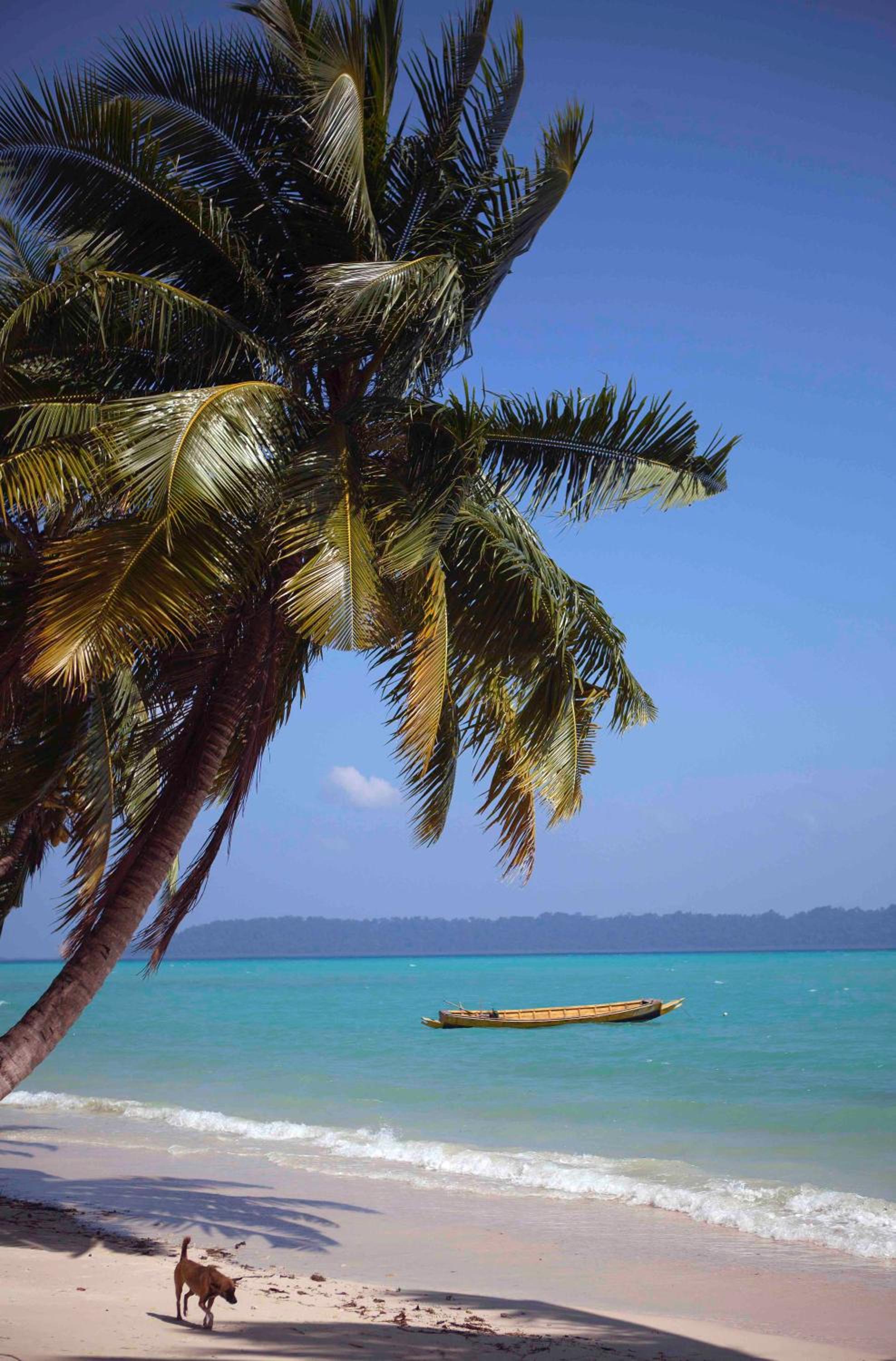 Emerald Gecko Resort-Havelock Island 28/32