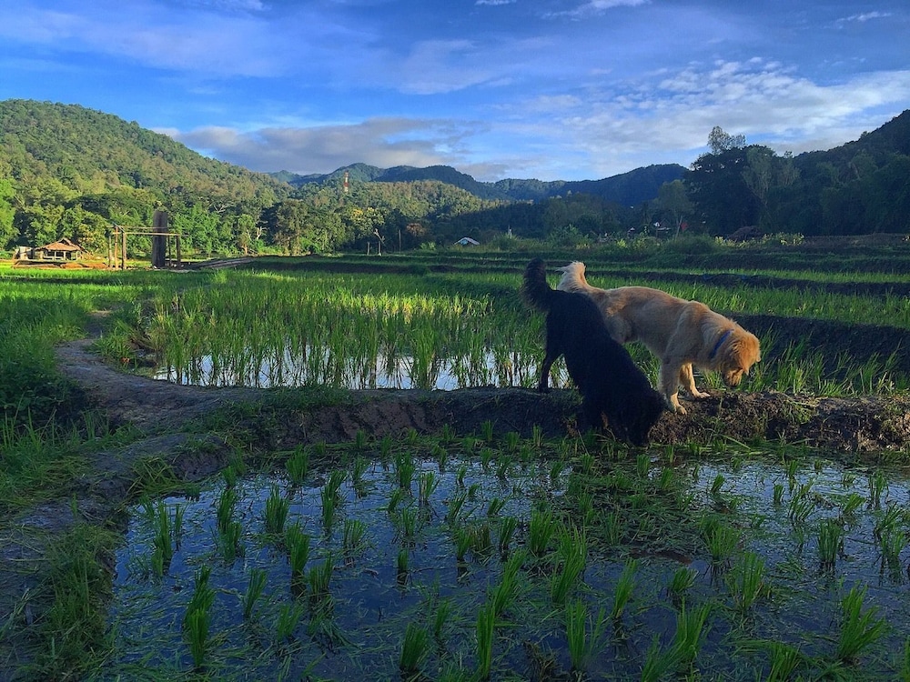 Bulun Buri Resort Chiang Mai 66/71