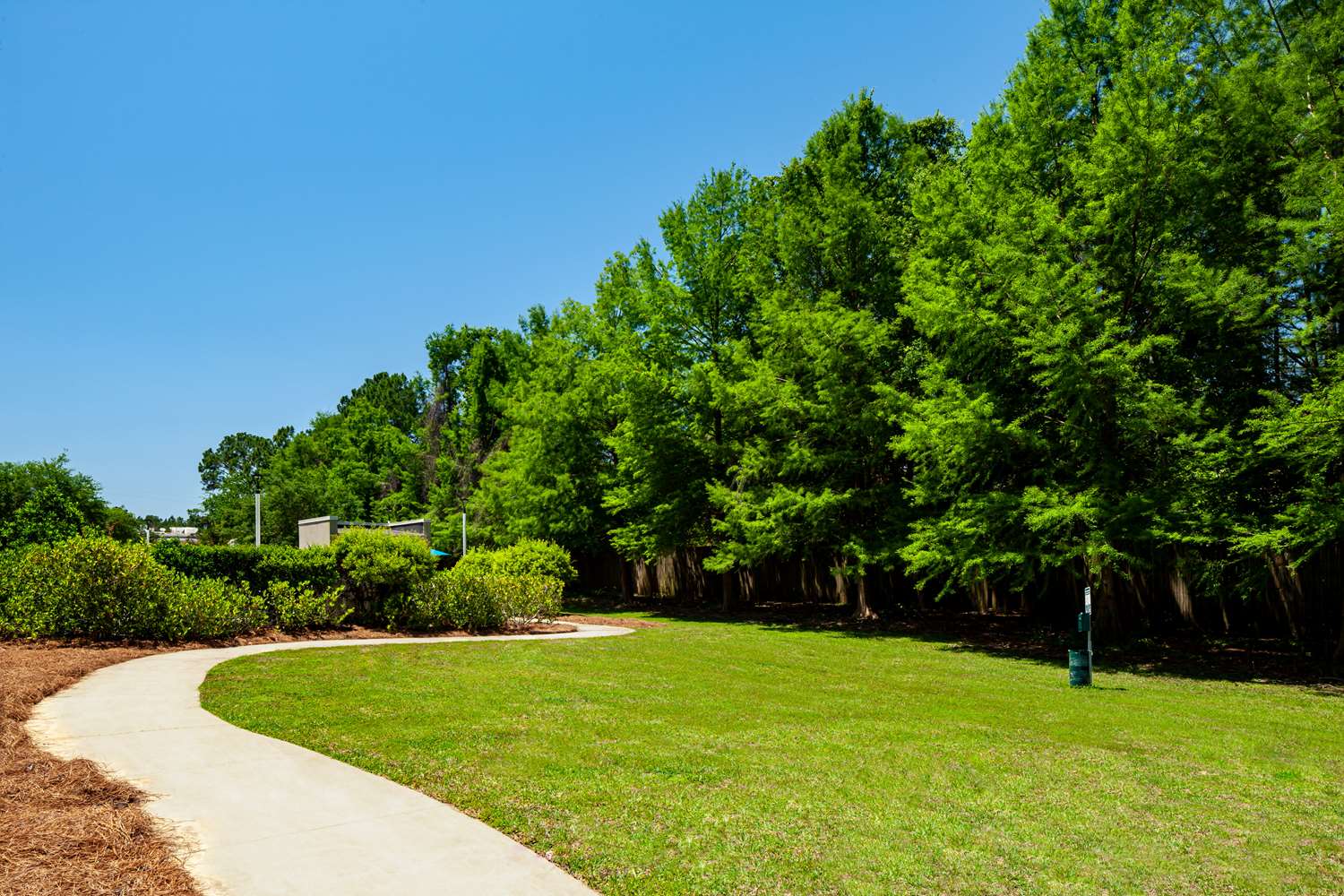 surroundings