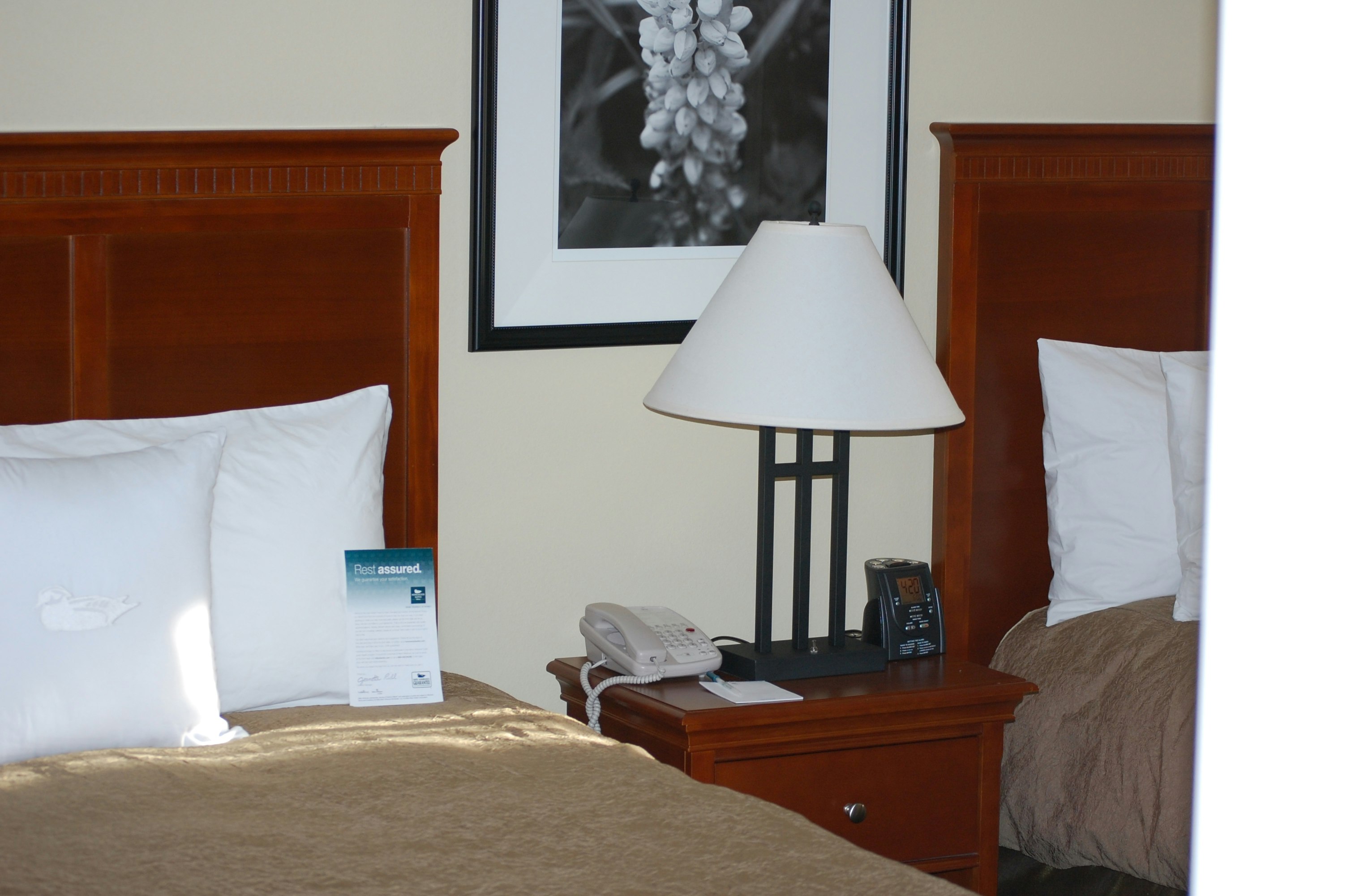 Homewood Suites by Hilton Denver - Littleton 14/40