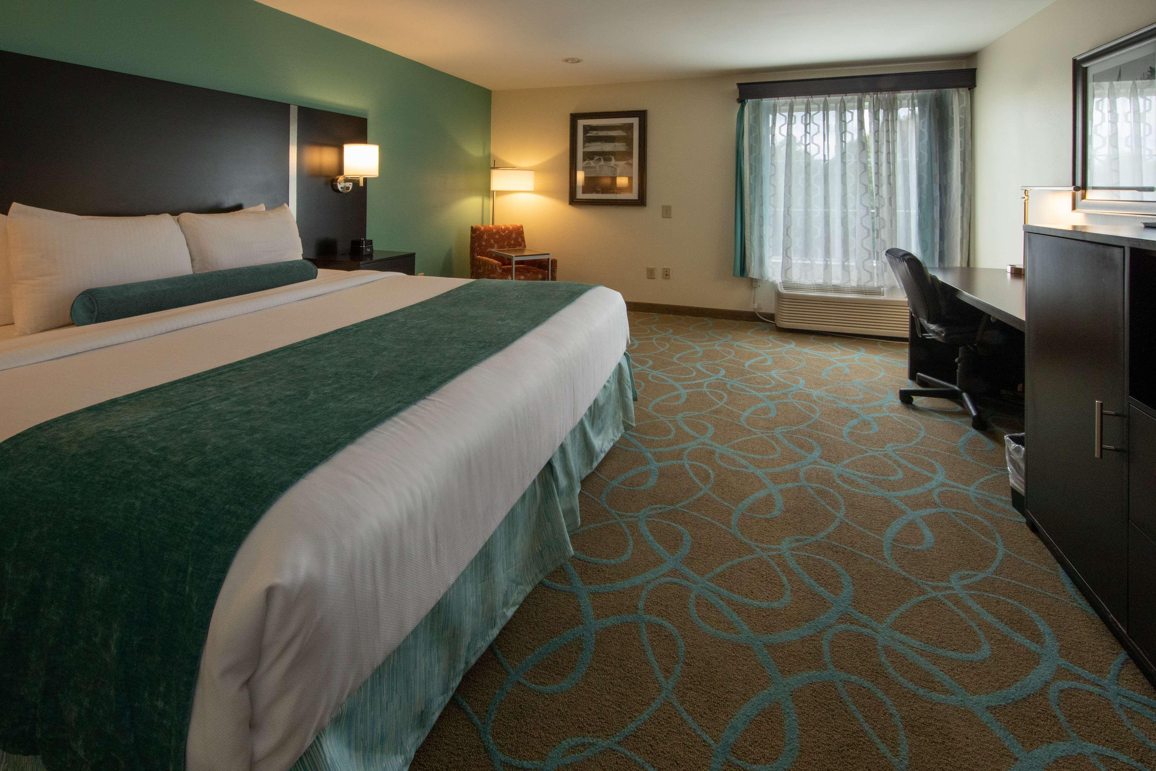 Room, King Bed