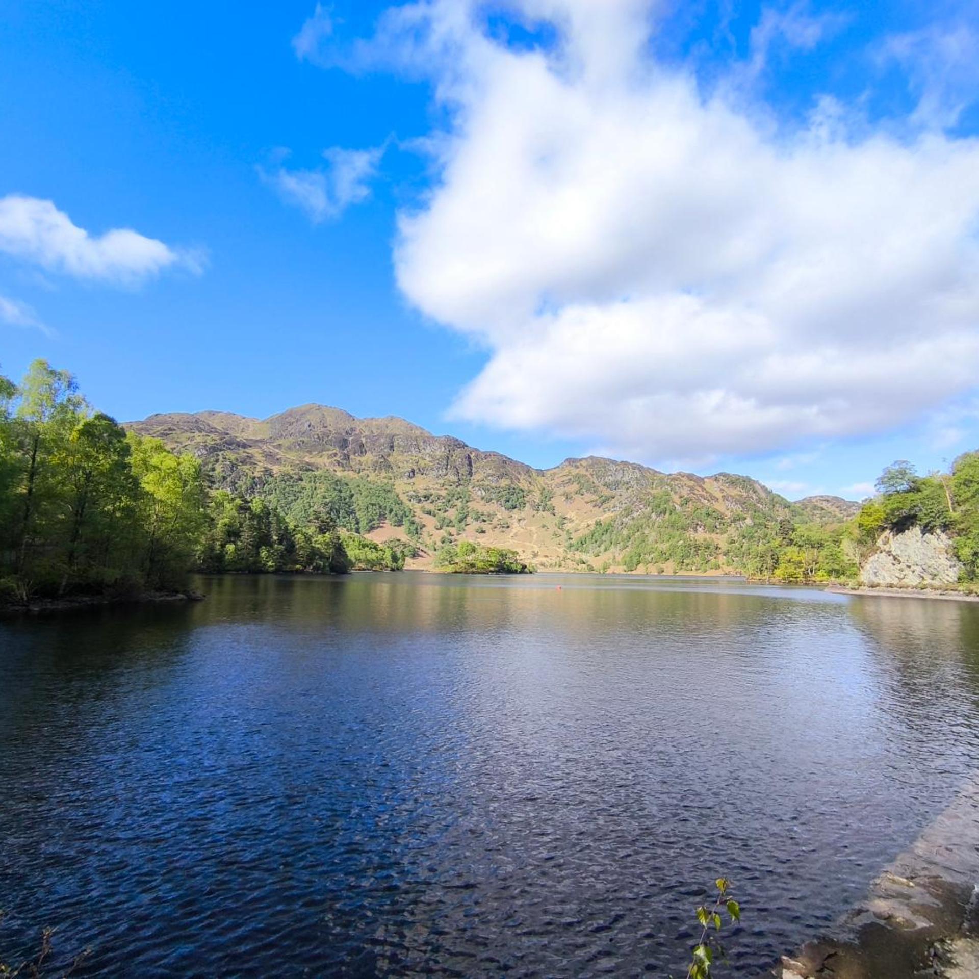 Rob Roy 28/38