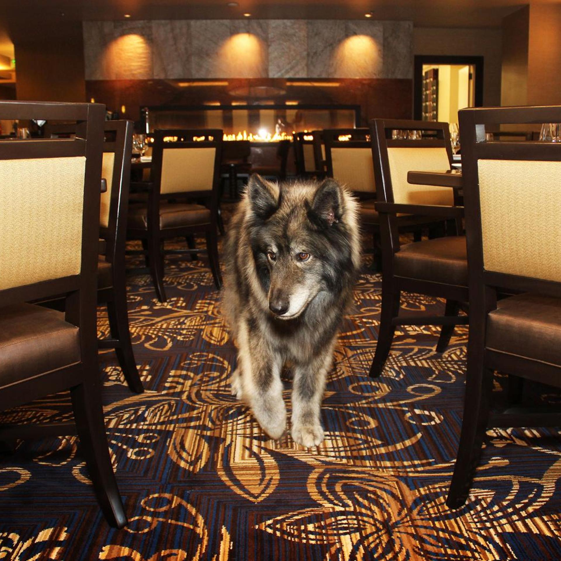 Jackson Rancheria Casino Resort 43/50