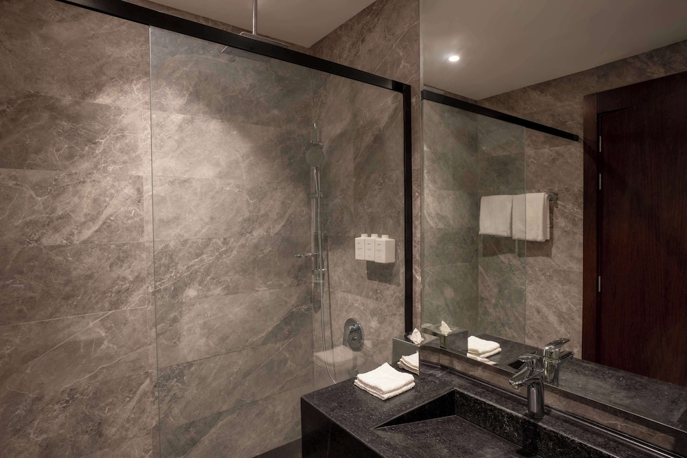 Radisson Hotel Madinah 49/49