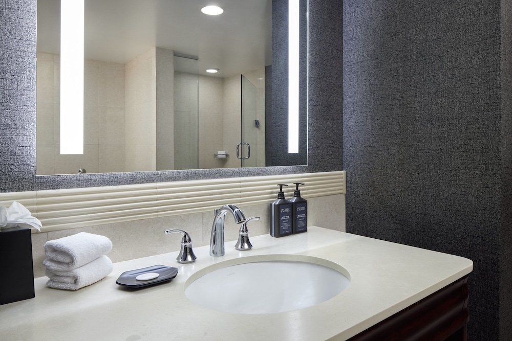 استوديو كلوب بسرير كينج بإطلالة على المدينة مع أريكة، Sheraton Valley Forge King of Prussia 5/5