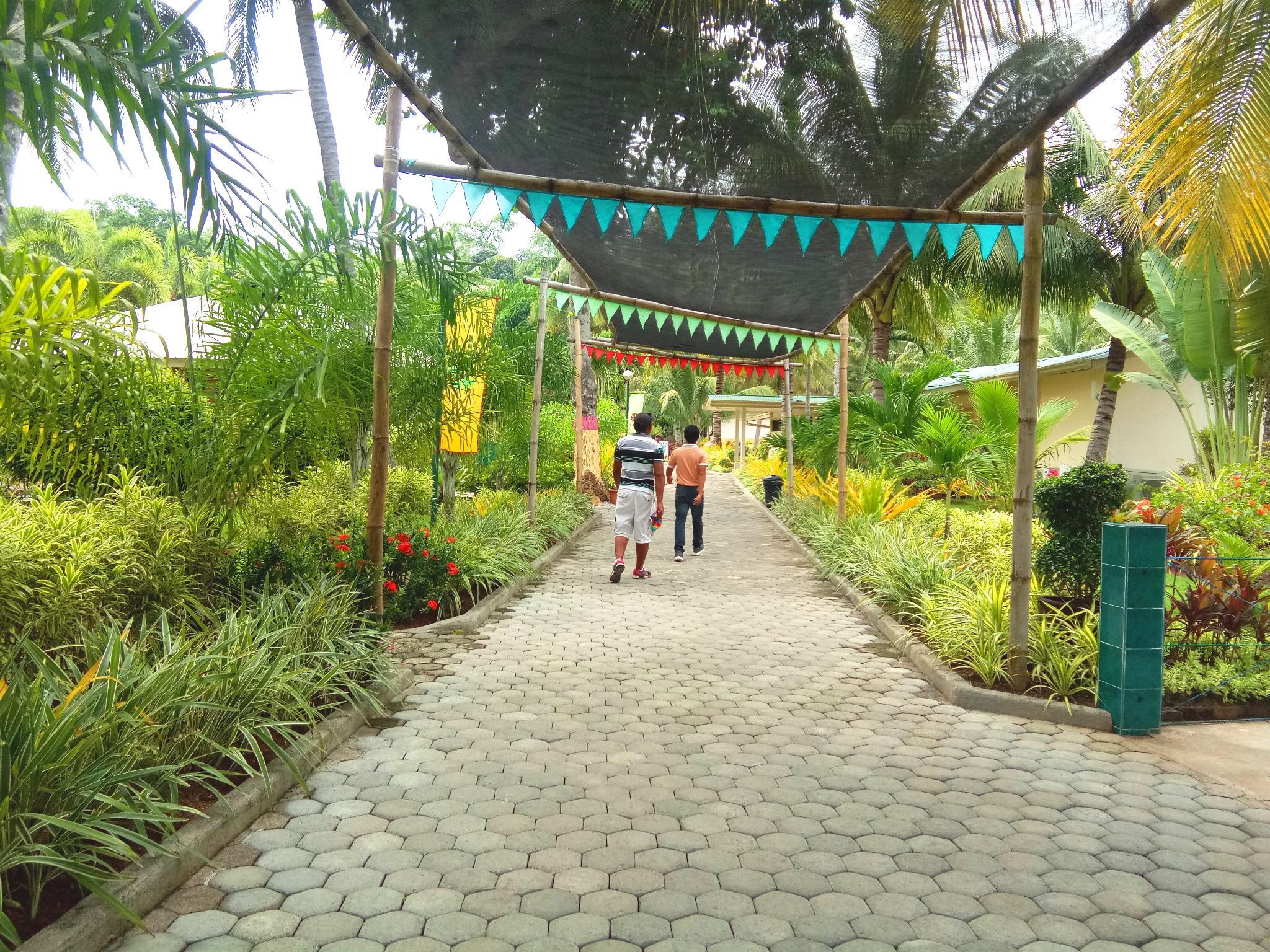 PARADISE ISLAND PARK AND BEACH RESORT 23/33