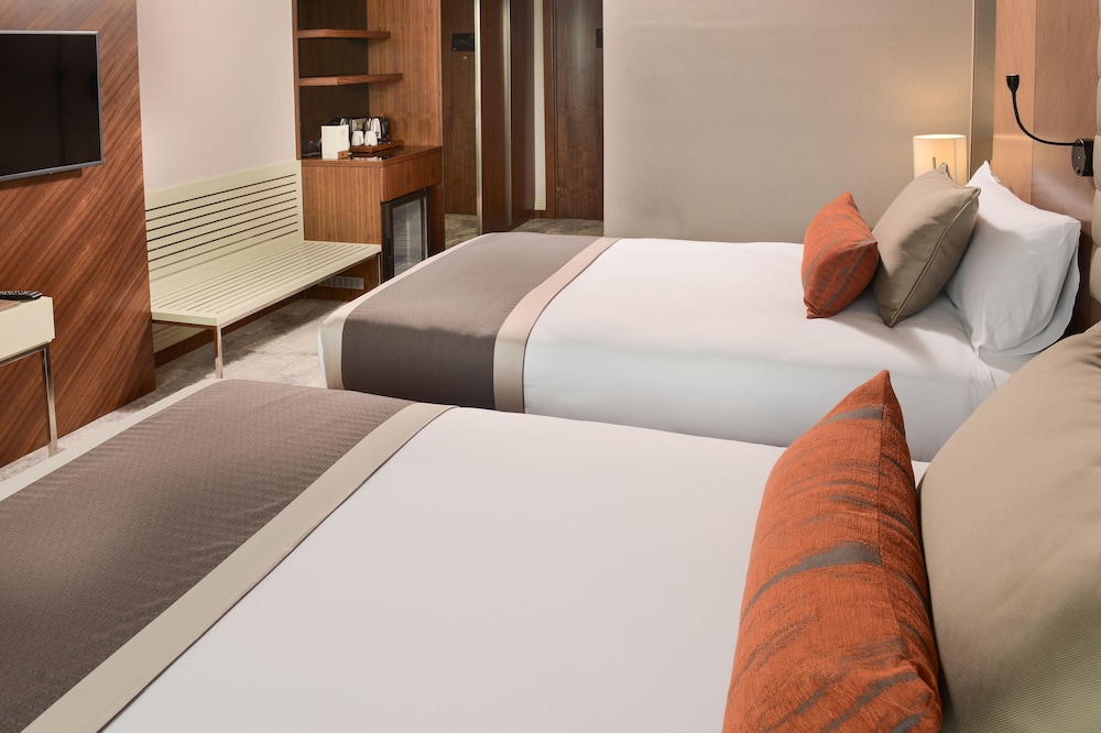 Ankara Alegria Business Hotel 15/50