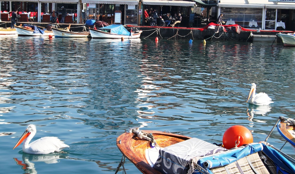 Foca Kumsal Hotel 45/50