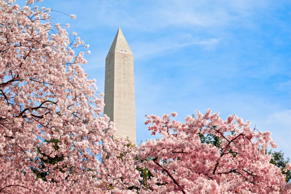 Hyatt Place Washington DC/White House 19/59