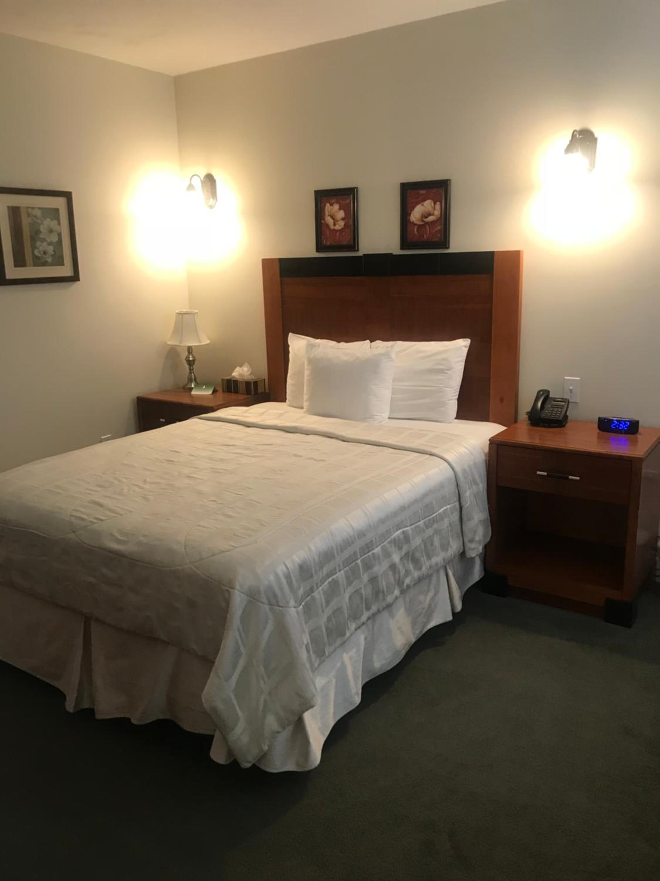 Suite, Queen Bed, Accessible