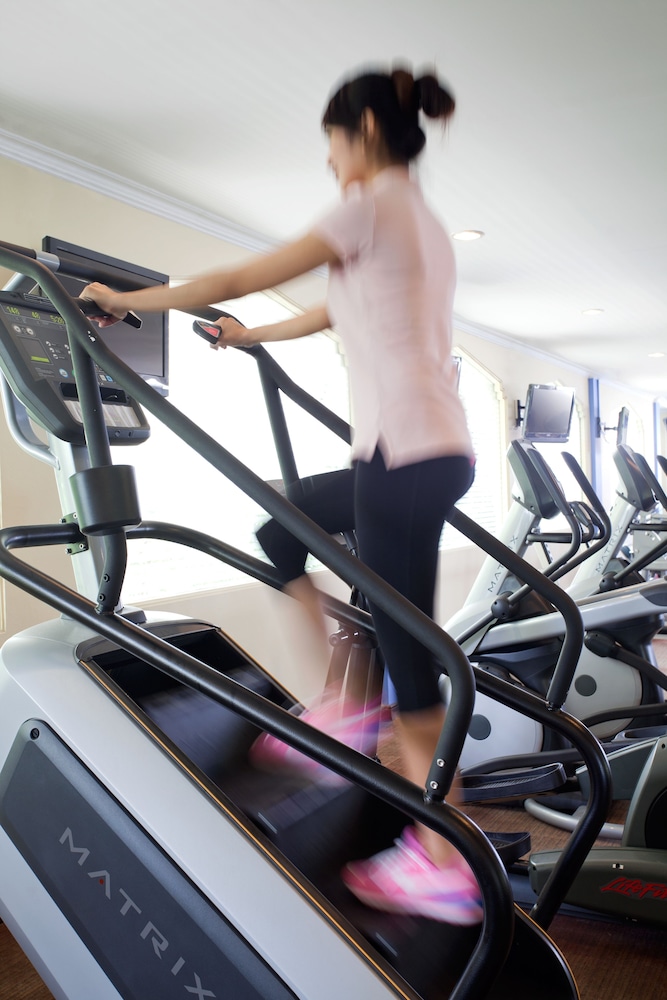 Ibis Styles Solo 38/66