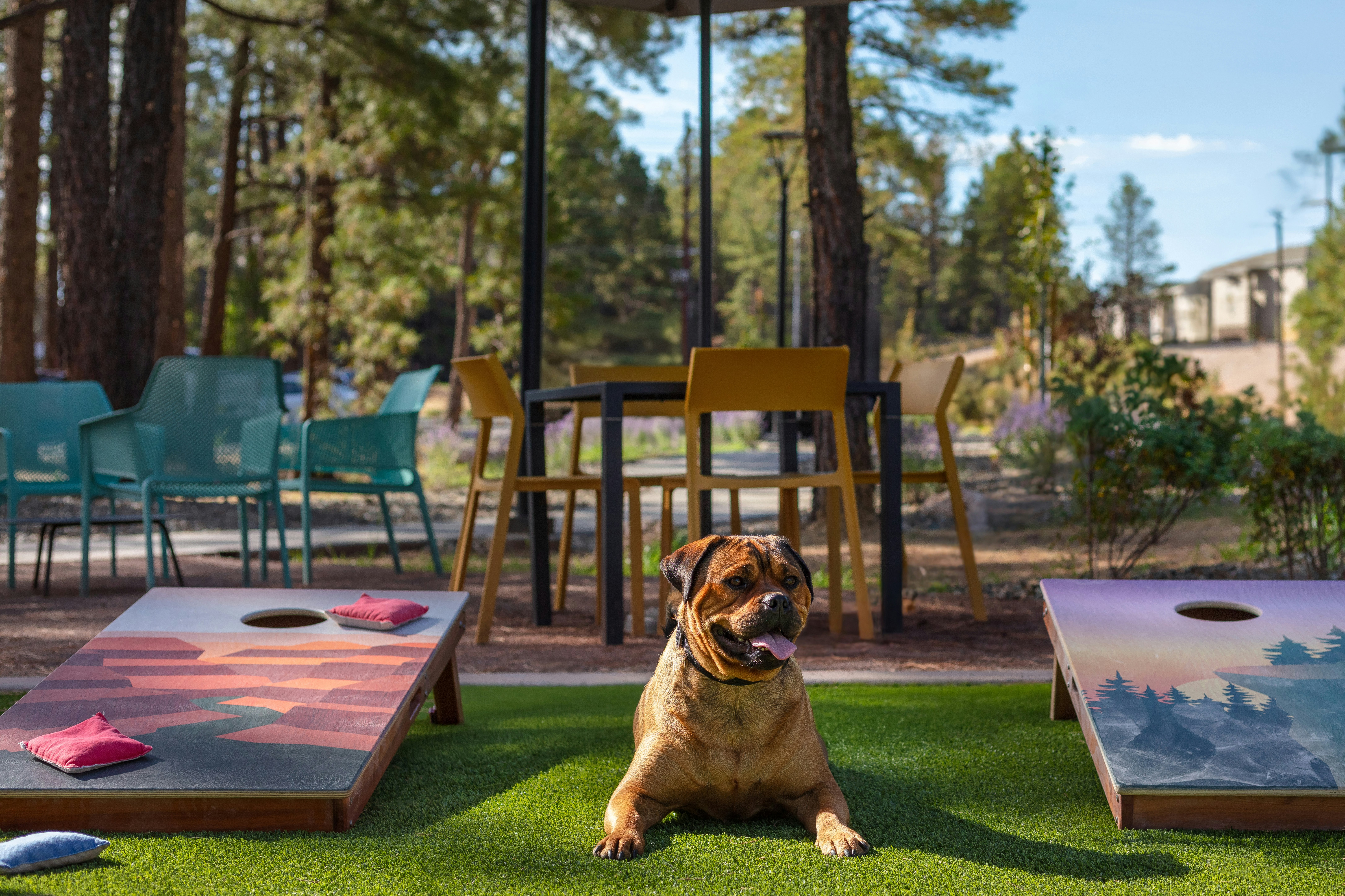 Home2 Suites by Hilton Flagstaff 44/47
