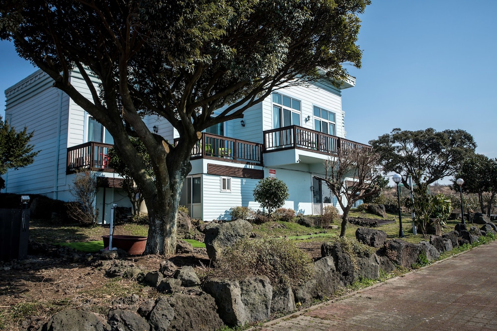Jeju Nollmung 45/50