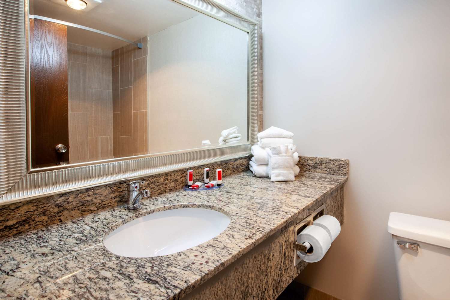Wingate by Wyndham Detroit Metro Airport 44/44