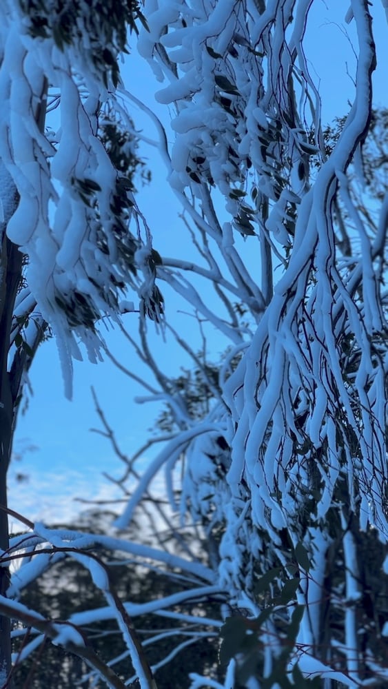 Carinya Village Jindabyne 47/50