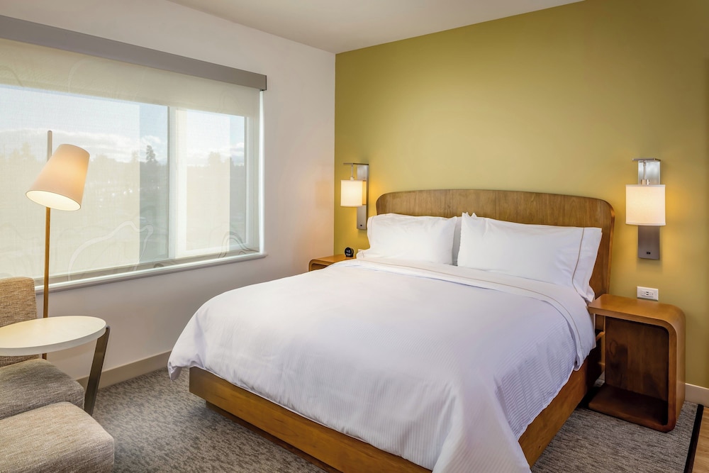 STANDARD, KING BED, ACCESSIBLE