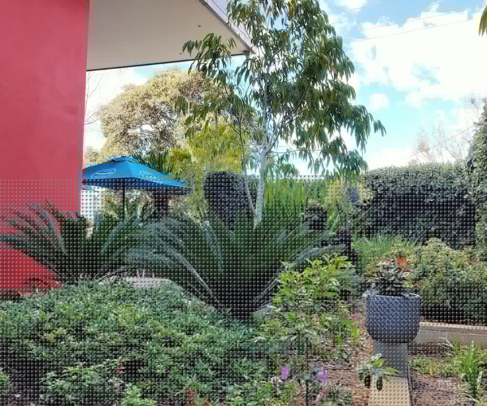 Laguna Apartments 31/67