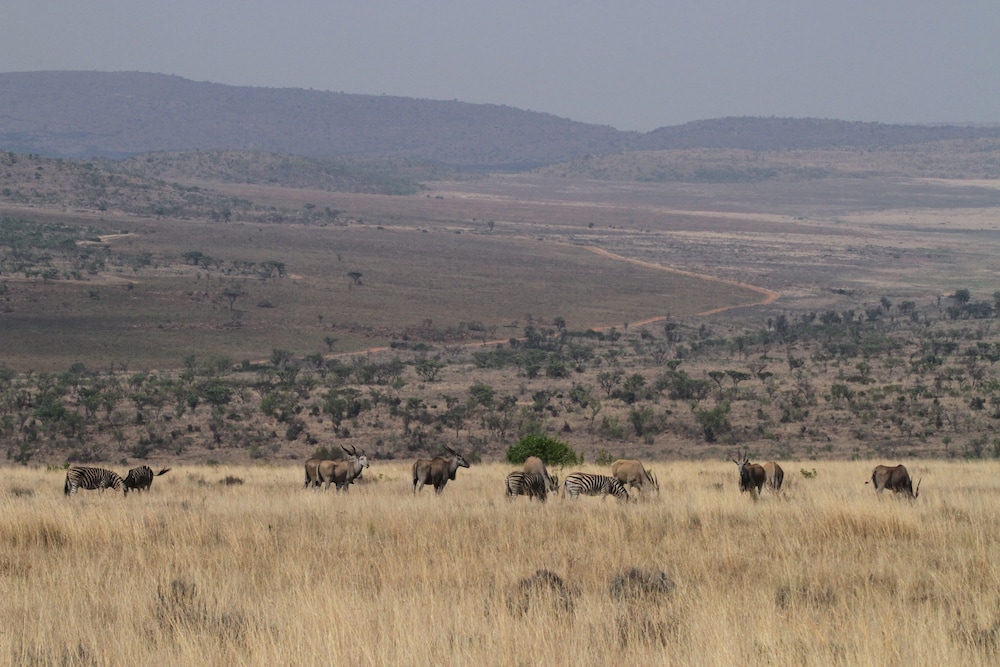 Inzalo Safari Lodge 17/45