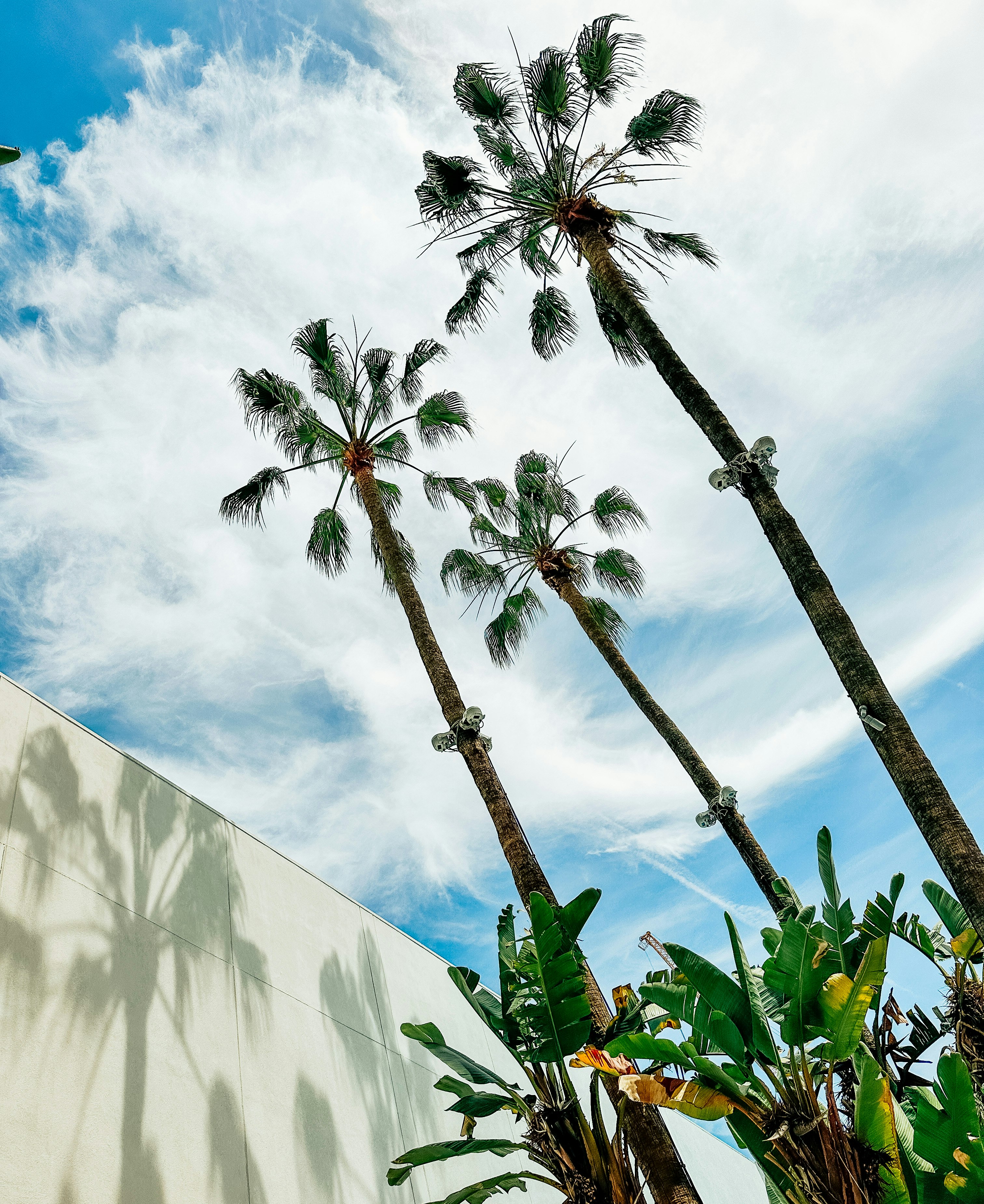 The Beverly Hilton 56/60