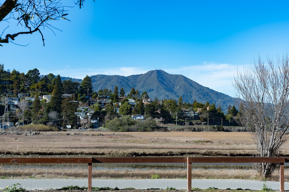 surroundings