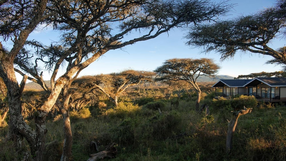 Karibu Camps and Lodges Lions Paw Ngorongoro 63/68