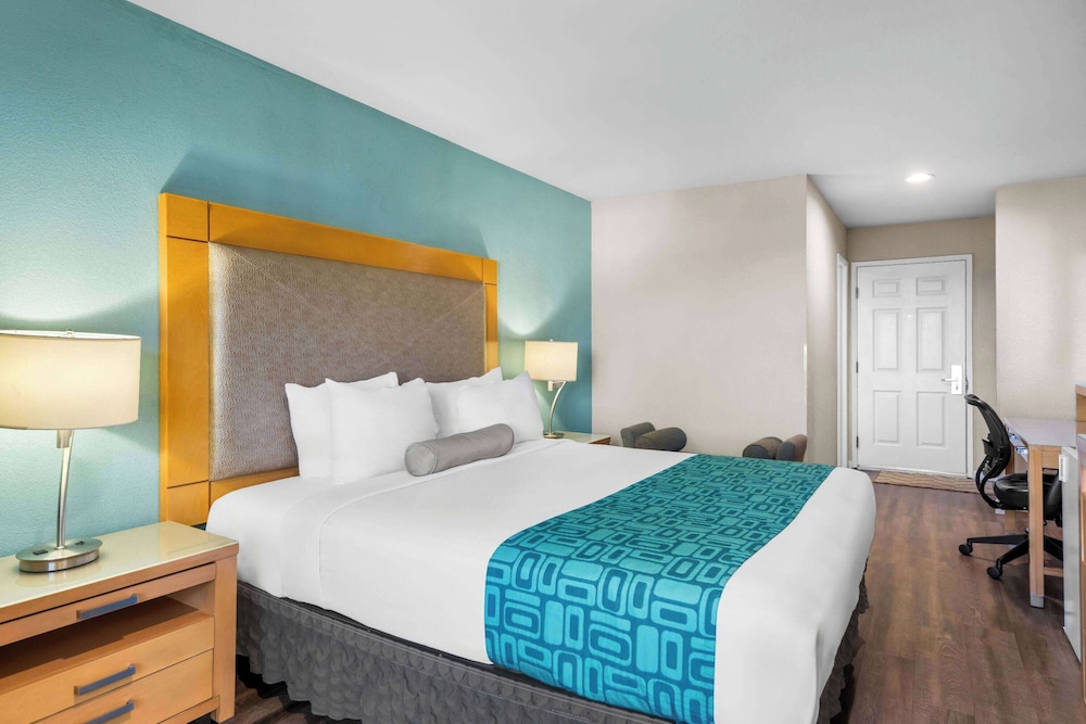 Room, King Bed, Accessible