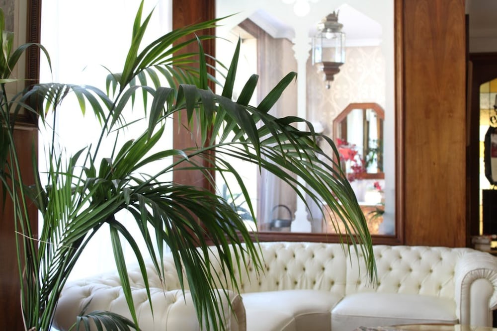 Hotel el Bedel 31/42