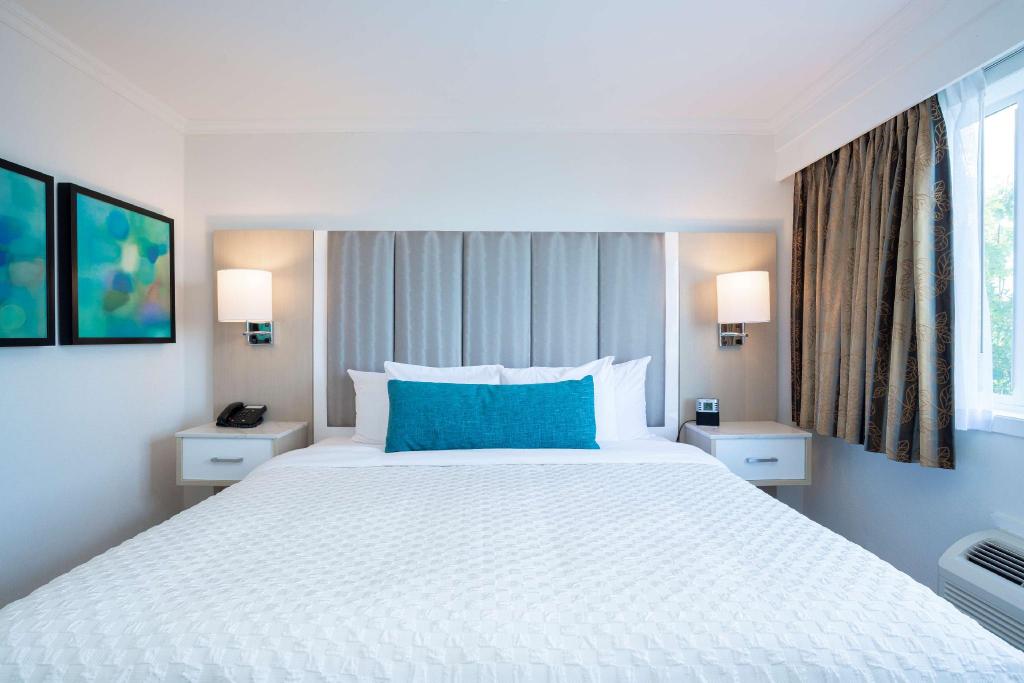 جناح تنفيذي بسرير كينج