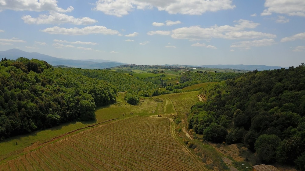 Tenuta Santo Pietro 37/50