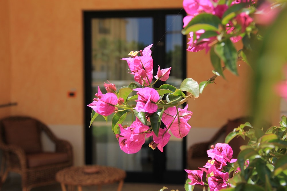 Relais Capo Spulico - Beach & Spa 18/50