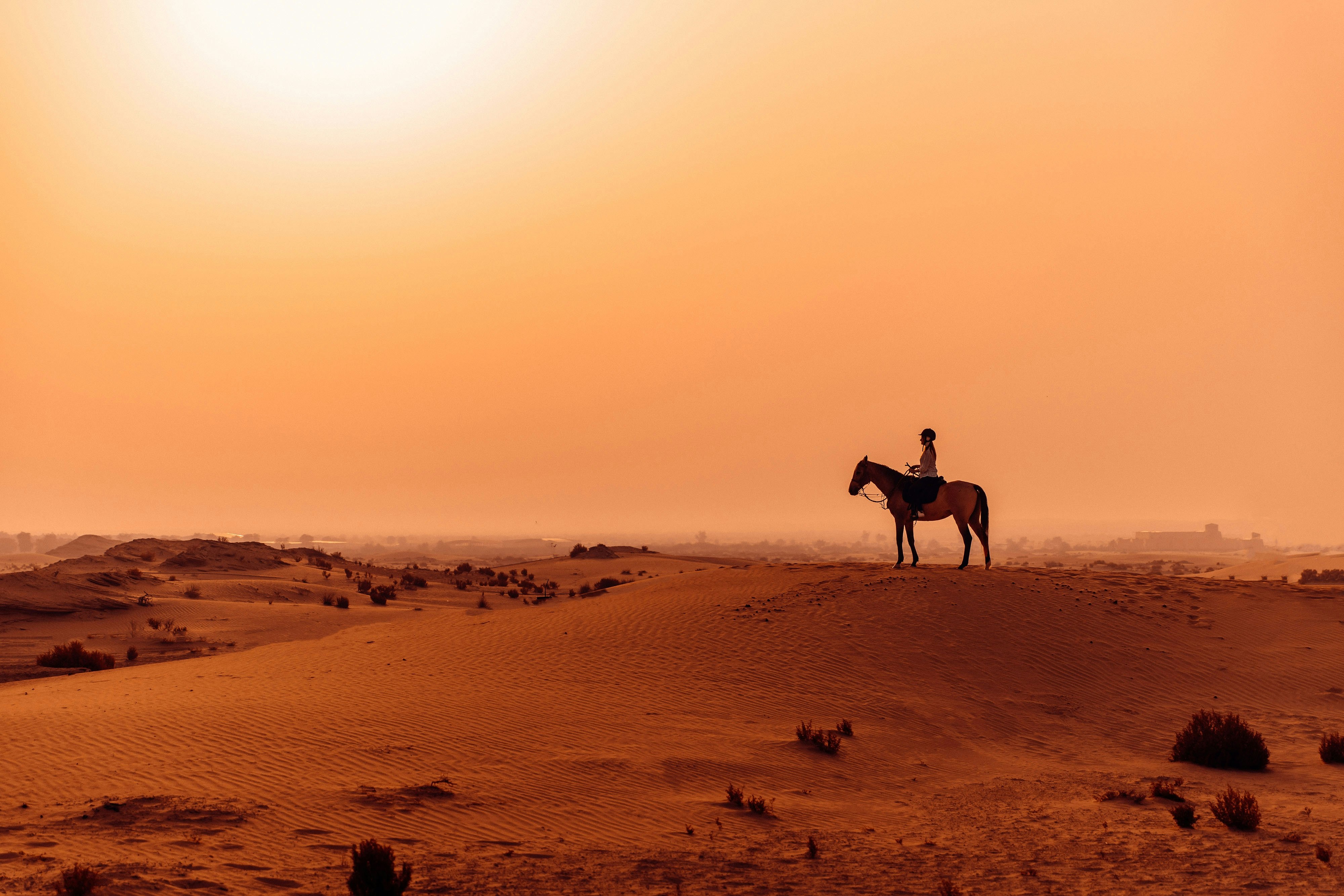 Al Wathba A Luxury Collection Desert Resort And Spa Abu Dhabi 54/58