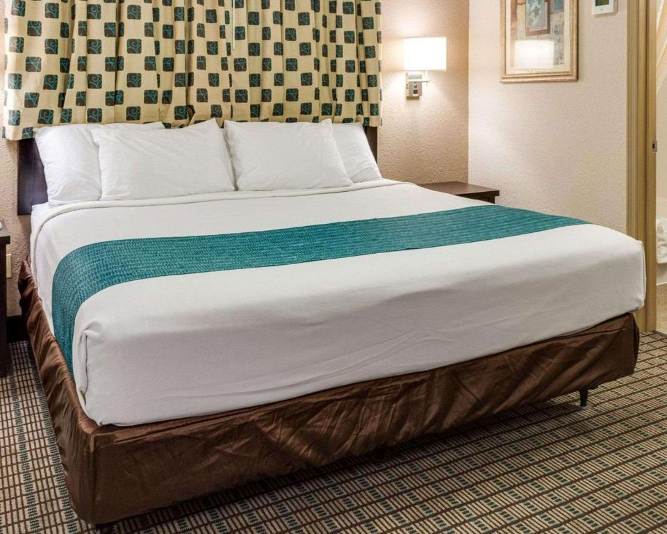Suite, King Bed