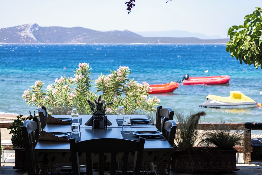 Venus Beach Hotel 49/64
