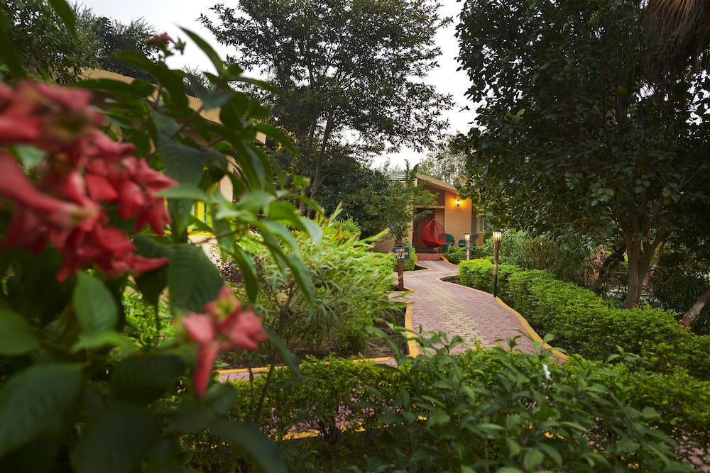Acorn Hideaway Resort and Spacorbett 45/50