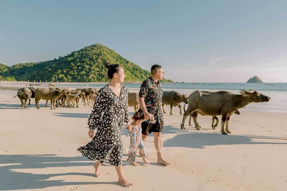 Jm Hotel Kuta Lombok 44/50