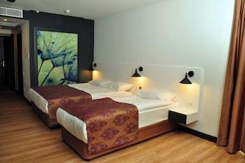 Standard Eco Room