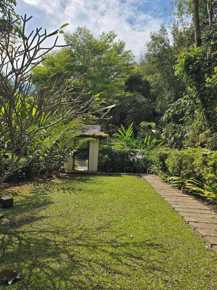 Vanilla Hill (Hill Lodge) 40/50